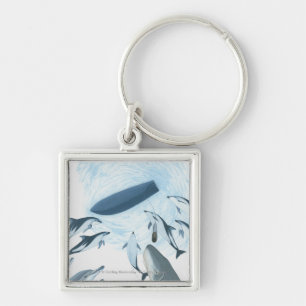 Illustration of dolphins looking up at a boat keychain