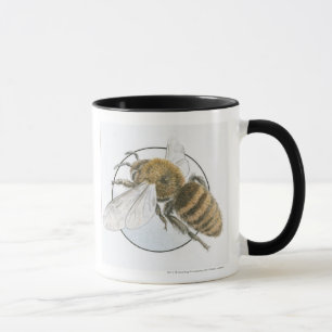 Illustration of European Honey Bee Mug
