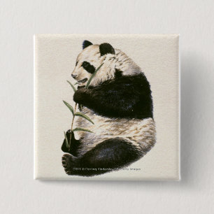 Illustration of Giant panda feeding on bamboo 2 Inch Square Button