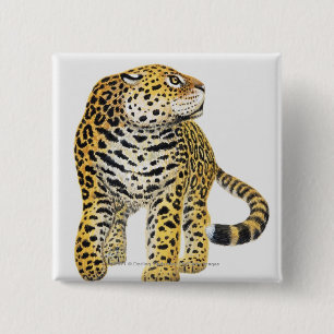 Illustration of Jaguar with head in profile 2 Inch Square Button