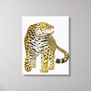 Illustration of Jaguar with head in profile Canvas Print