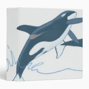 Illustration of Killer Whales (Orcinus orca) Binder