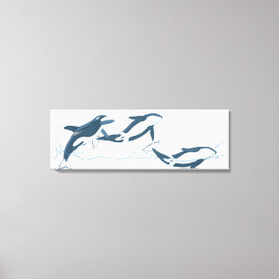 Illustration of Killer Whales (Orcinus orca) Canvas Print