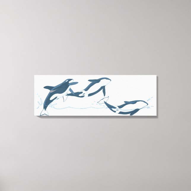 Illustration of Killer Whales (Orcinus orca) Canvas Print (Front)
