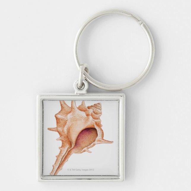 Illustration of Murex shell Keychain (Front)