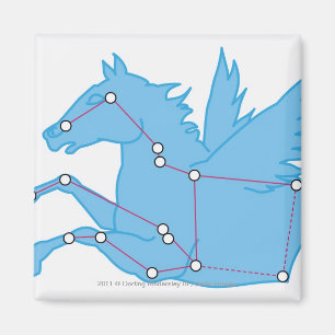 Illustration of Pegasus constellation Magnet