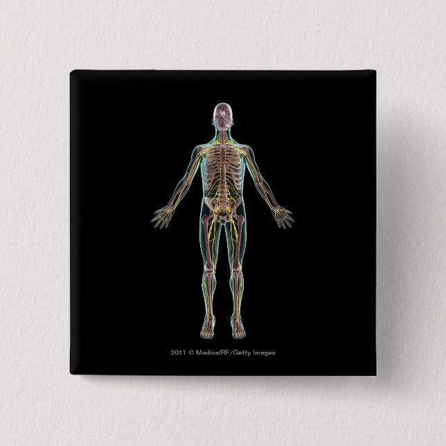 Illustration of the nervous system 2 inch square button (Front)