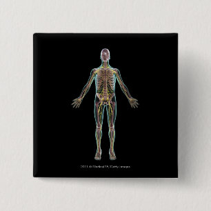 Illustration of the nervous system 2 inch square button