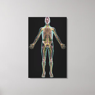 Illustration of the nervous system canvas print