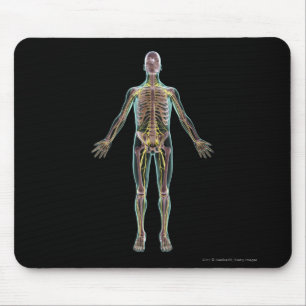 Illustration of the nervous system mouse pad