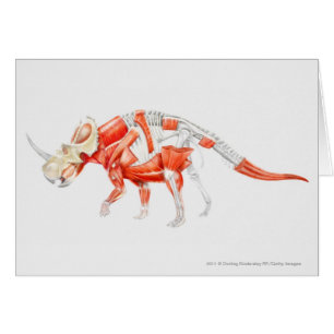 Illustration of Triceratops muscular system