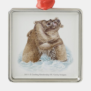 Illustration of two Brown Bears fighting in water Metal Ornament