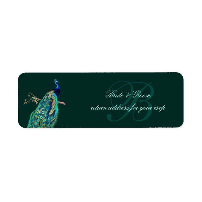 Illustration PixDezines Peacock Vintage (Devant)