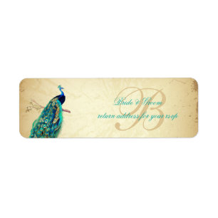 Illustration PixDezines Peacock Vintage
