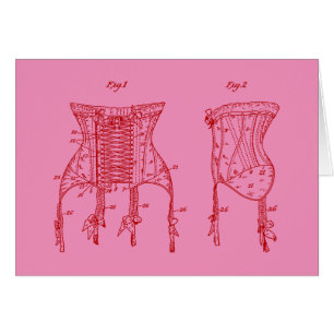 Illustration rose 1908