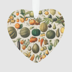Illustration scientifique végétale des fruits