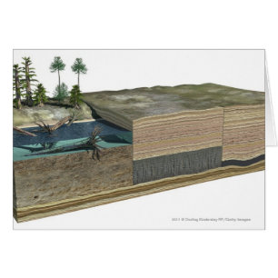 Illustration showing formation of coal
