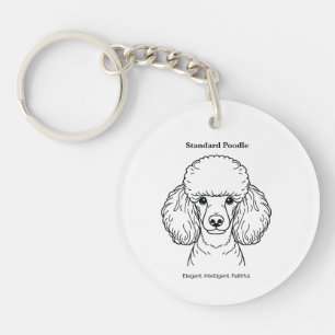 Illustration Standard Poodle Portrait Black Line
