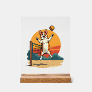 Illustration vectorielle de volley-ball Corgi vint