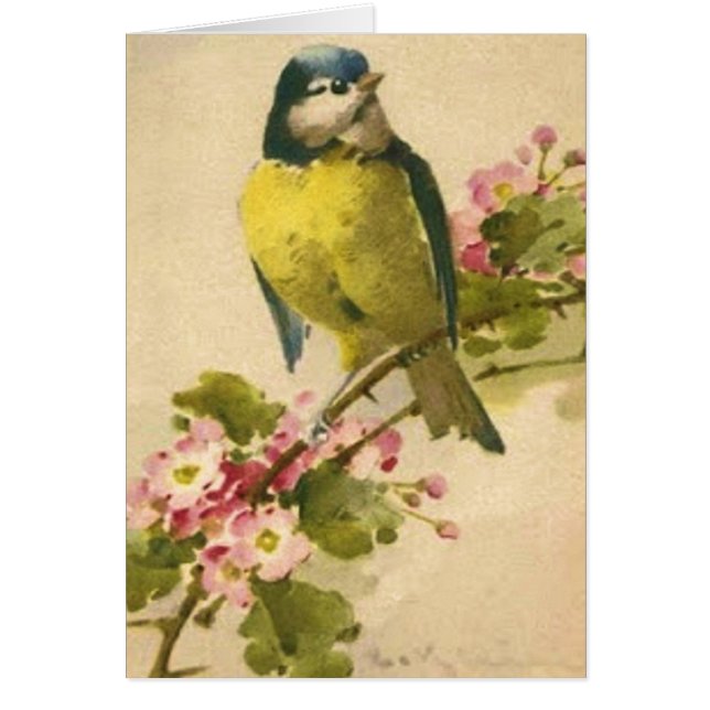 Illustration victorienne d'oiseau (Devant)