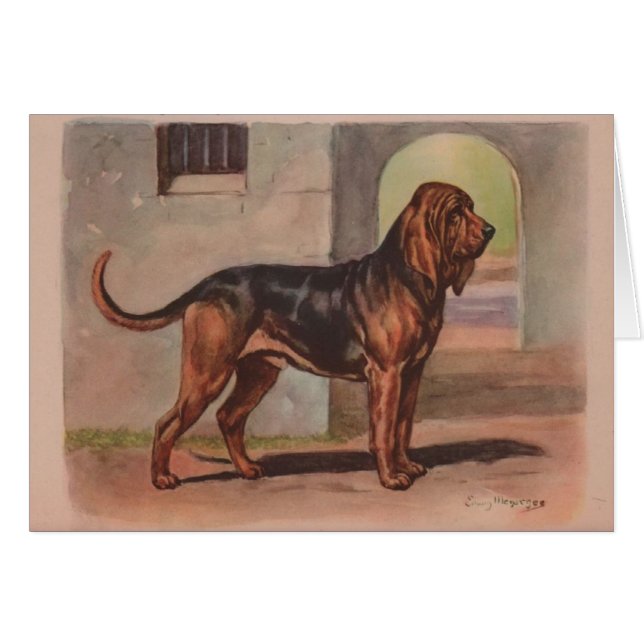 Illustration vintage - chien de limier, (Devant horizontal)