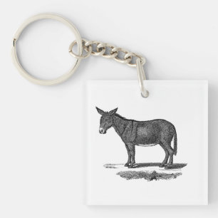 Illustration vintage d'âne - ânes 1800's
