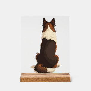 Illustration vintage de Border Collie vu de dos