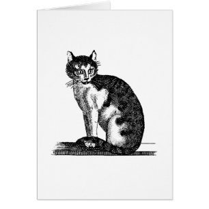 Illustration vintage de chat de Chambre de 1800s -