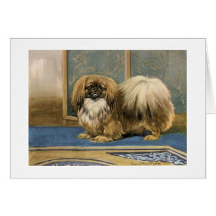 Illustration vintage de chien de Pekingese,