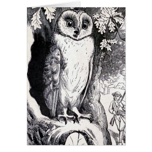 Illustration vintage de "hibou" (Devant)