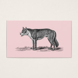 Illustration vintage de loup - modèle des loups
