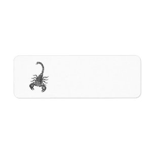Illustration vintage de scorpion de 1800s -