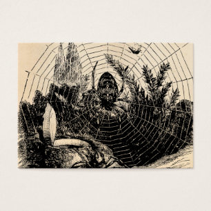 Illustration vintage de toile d'araignée de 1800s