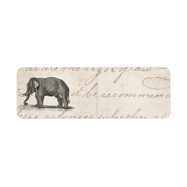 Illustration vintage des années 1800 - Eléphants (Devant)