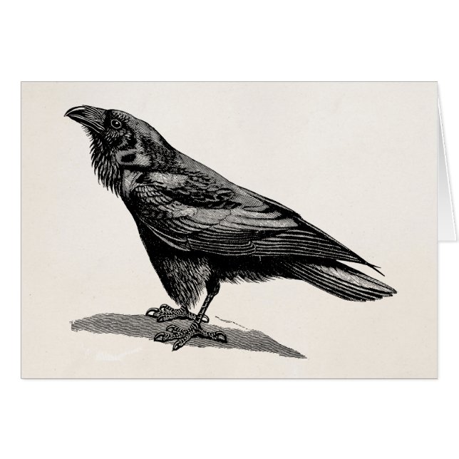 Illustration vintage d'oiseau de merle de (Devant Horizontal)