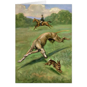 Illustration vintage - lévrier chassant un lapin,