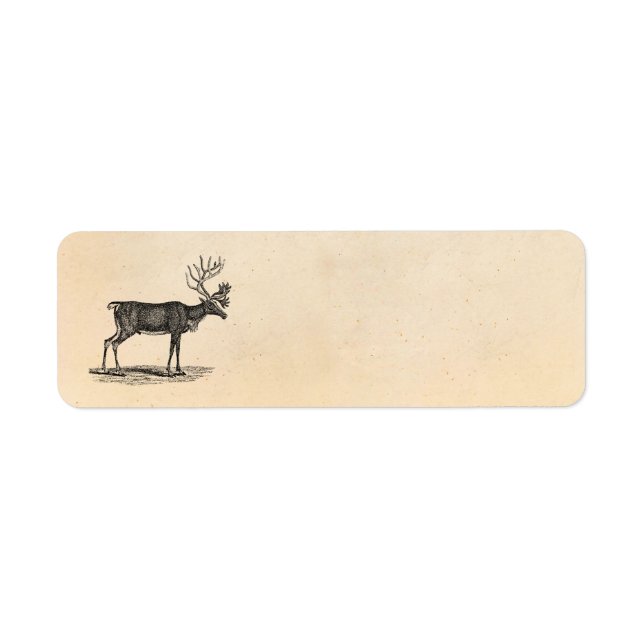Illustration vintage Reindeer - Noël des années 18 (Devant)
