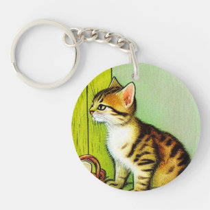 Illustration vintage Tabby Cat