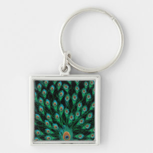 Illustration With Peacock Feathers on Black Keychain
