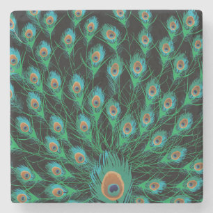 Illustration With Peacock Feathers on Black Stone Coaster