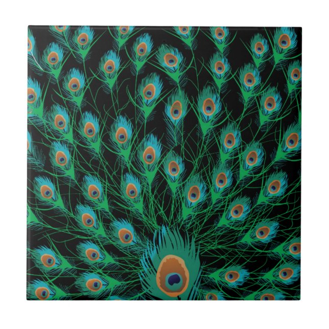 Illustration With Peacock Feathers on Black Tile (Front)