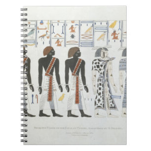 Illustrations of hieroglyphics from the Tombs of t Notebook