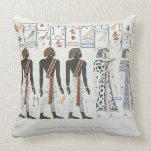 Illustrations of hieroglyphics from the Tombs of t Throw Pillow