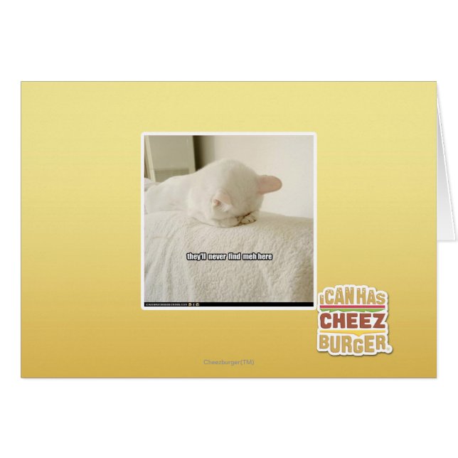 ils ne me trouveront jamais ici (Devant horizontal)