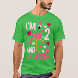 Im 2 And Flamazing Flamingo Gifts T-Shirt