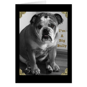 i'm a big bully