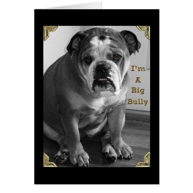 i'm a big bully (Front)