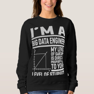 I'm A Big Data Engineer My Level Of Sarcasm Is Dir Sweatshirt