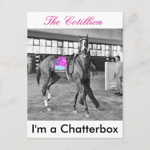 I'm a Chatterbox Postcard