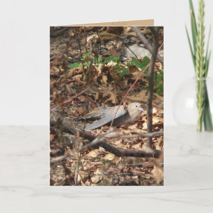 I'm a Leaf, Really Card